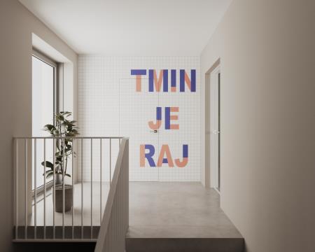 Mladinski center Tolmin_vizualizacija